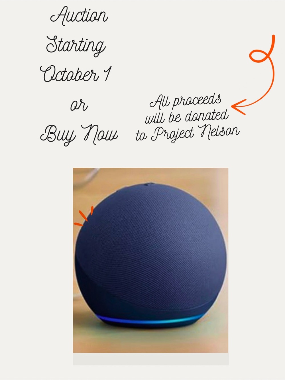 ⚕️ Echo Dot